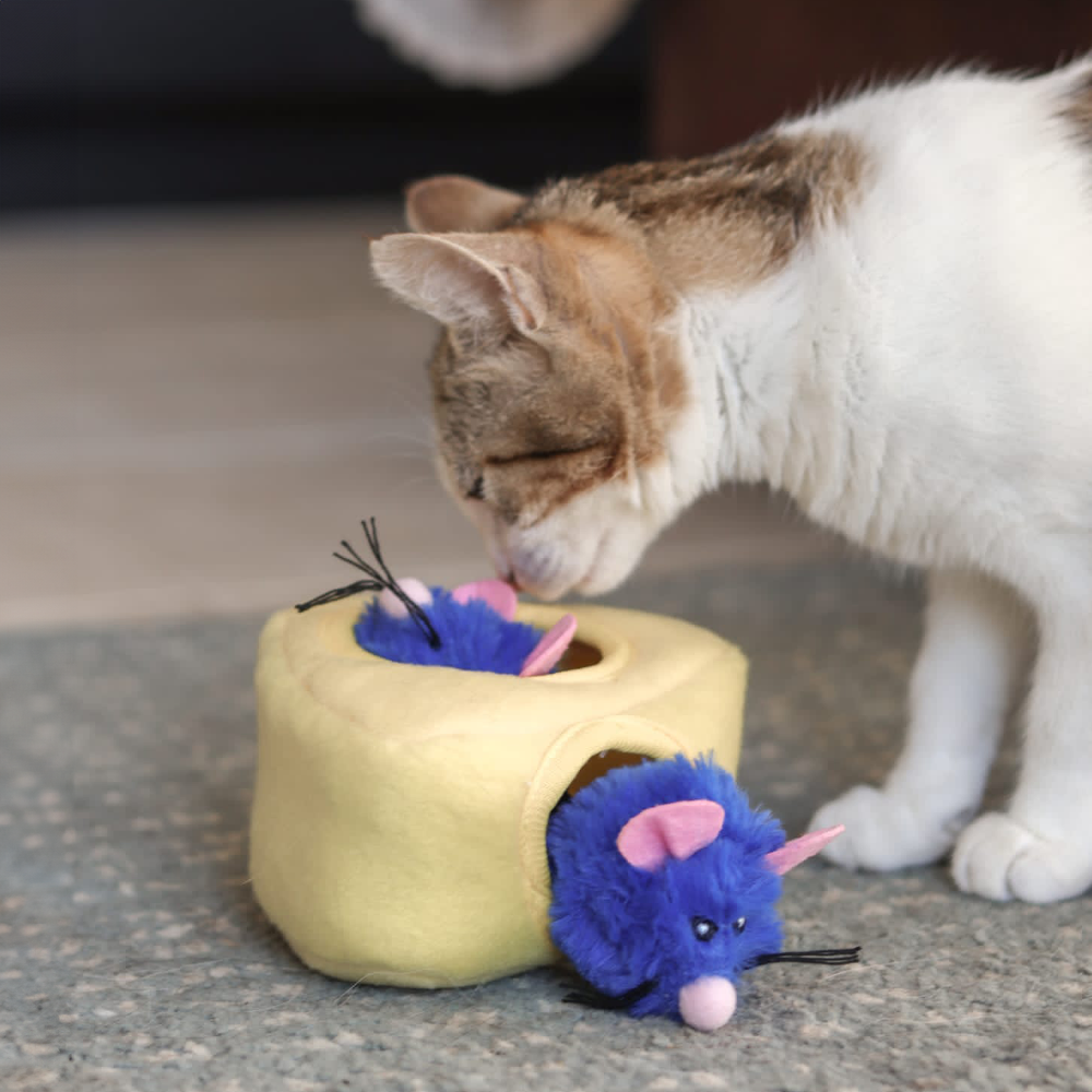Interactive Cheese & Mice Hide-and-Seek Toy for Cats 🐭🧀