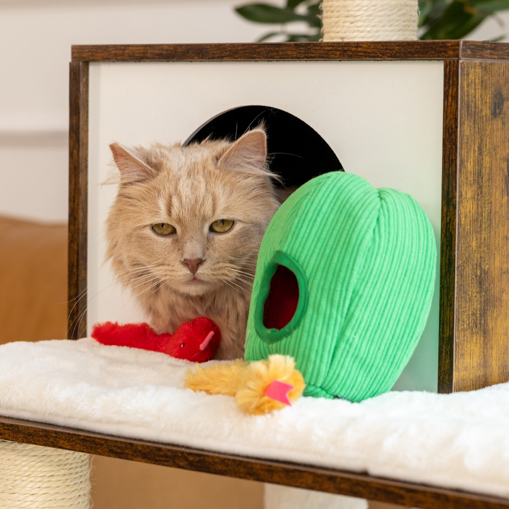 Cactus and snakes scent toy
